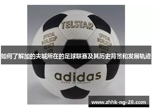 如何了解加的夫城所在的足球联赛及其历史背景和发展轨迹