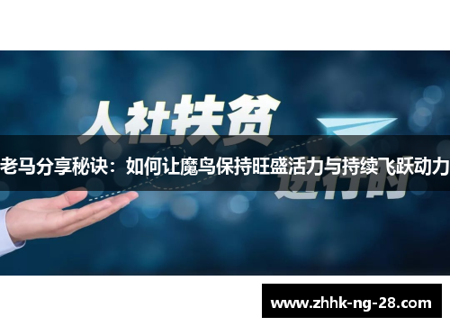 老马分享秘诀：如何让魔鸟保持旺盛活力与持续飞跃动力