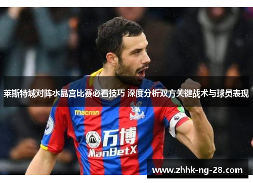 莱斯特城对阵水晶宫比赛必看技巧 深度分析双方关键战术与球员表现